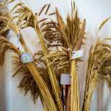 Timilia, perciasacchi, gentil rosso, bianchetta: sono alcuni dei nomi di grani antichi sostituiti ormai da tempo da chicchi destinati alle agricolture intensive. Cereali ricchi di nutrienti e sali minerali, ma entrati ormai in disuso e di fatto scomparsi dal mercato